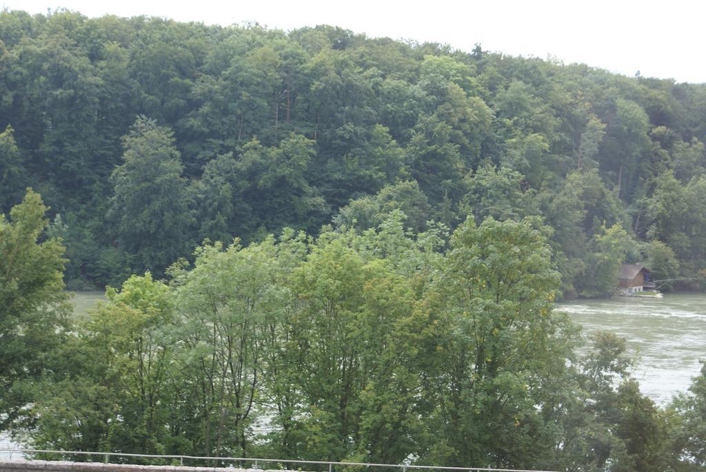 Hotel Storchen Rheinfelden  Zewnętrze zdjęcie